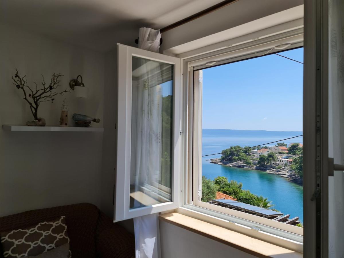 Oasis Apartment